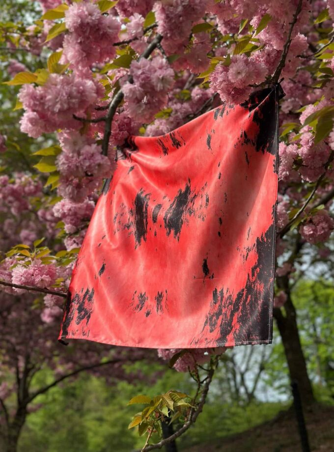 Vivid red and black tie-dye fabric hanging from a cherry blossom tree with pink flowers, creating a striking contrast in a lush outdoor setting.