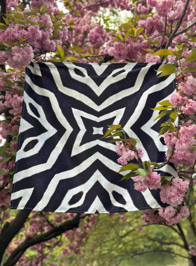 Vibrant black and white zebra print cloth hanging among blooming pink cherry blossoms, perfect for a springtime outdoor setting.