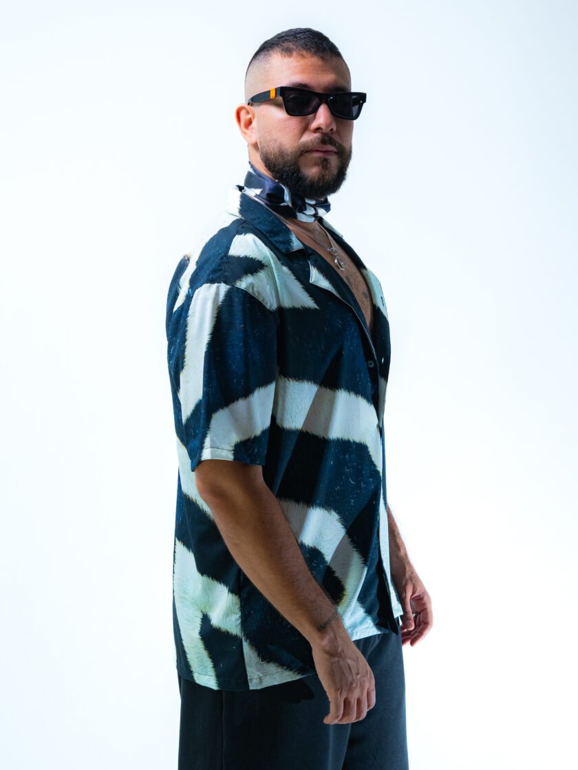Zebra Pulse - Image 2